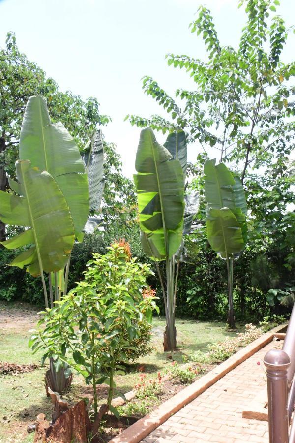 Golden Cherries Guest House Jinja Exterior photo